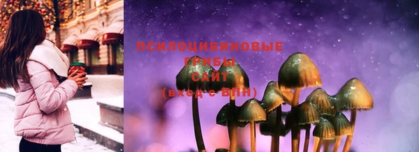 ГАЛЛЮЦИНОГЕННЫЕ ГРИБЫ Арсеньев