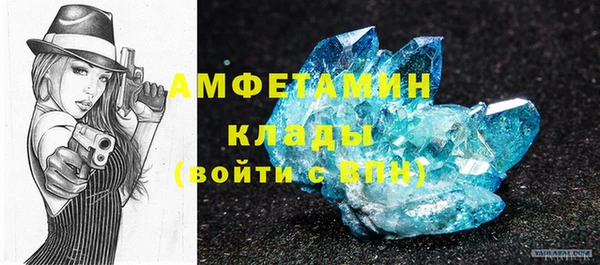 прущие грибы Няндома