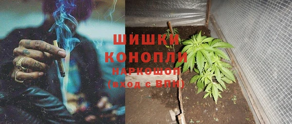 ГАЛЛЮЦИНОГЕННЫЕ ГРИБЫ Арсеньев