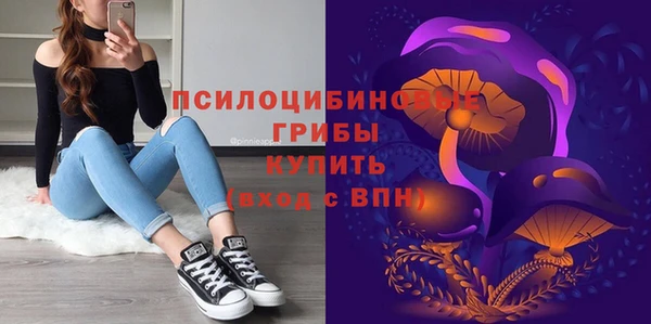 ALPHA-PVP Армянск