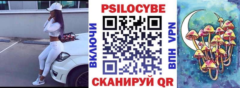 купить наркотик  Урюпинск  Псилоцибиновые грибы мицелий 